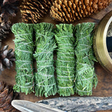 Ultimate Herbal Cleansing Kit
