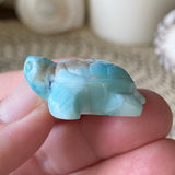 Coral Guardian Larimar Turtle