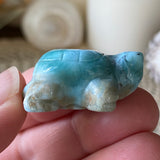 Water Wisp Larimar Turtle