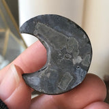 Black Aura Eclipse Druzy Moon