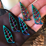 Rainbow Aura Cerithium Vertagus Shell