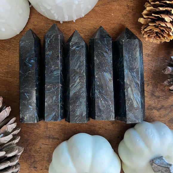 Deep Midnight Astrophyllite Points