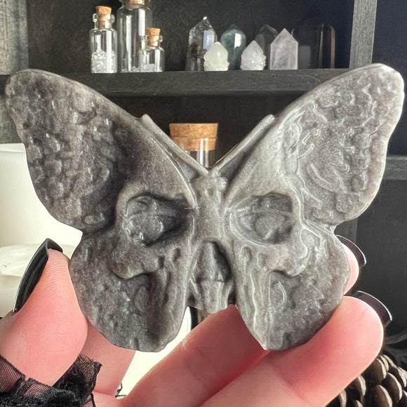 Aveta Silver Sheen Obsidian Skull Death Moth