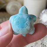 Azure Waters Larimar Turtle