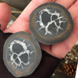 Ancient Wisdom Septarian Geode Pair