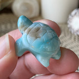 Coral Guardian Larimar Turtle