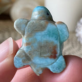 Water Wisp Larimar Turtle
