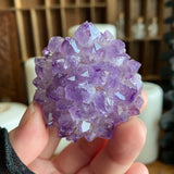 Radiant Amethyst Flower