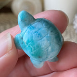 Cerulean Tides Larimar Turtle