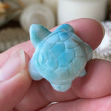 Azure Waters Larimar Turtle