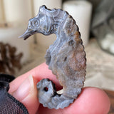 Ocean Dancer Chalcedony Seahorse