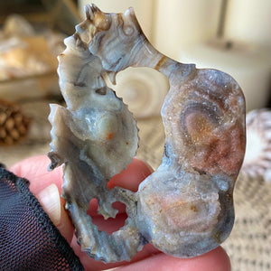 Calypso Chalcedony Seahorse