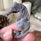 Secret Siren Chalcedony Seahorse