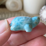 Coral Guardian Larimar Turtle