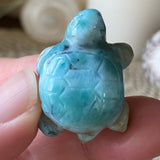 Water Wisp Larimar Turtle