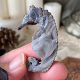 Secret Siren Chalcedony Seahorse