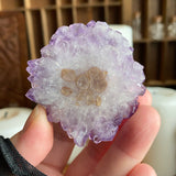 Radiant Amethyst Flower