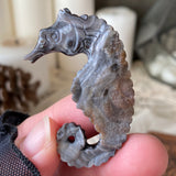Ocean Dancer Chalcedony Seahorse