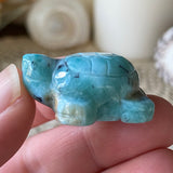 Water Wisp Larimar Turtle