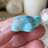 Azure Waters Larimar Turtle