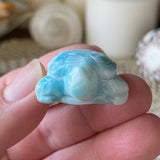 Azure Waters Larimar Turtle