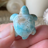 Coral Guardian Larimar Turtle