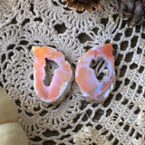 Angel Aura Angel Wing Agate Geode Slices