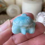Azure Waters Larimar Turtle