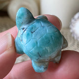 Water Wisp Larimar Turtle