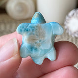 Coral Guardian Larimar Turtle