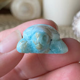 Coral Guardian Larimar Turtle