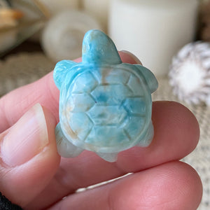 Crush Larimar Turtle