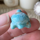 Coral Guardian Larimar Turtle