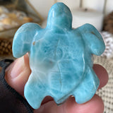 Ocean Spirit Larimar Turtle