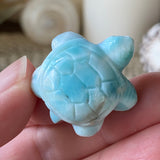 Azure Waters Larimar Turtle