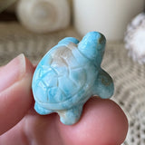 Coral Guardian Larimar Turtle